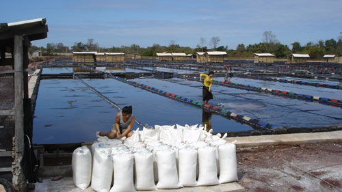 Fluoration du sel iodé au Laos